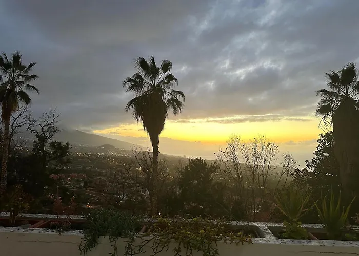 Panorama *